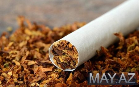 Azərbaycanın tütün ixracından gəlirləri 2 dəfə azalıb