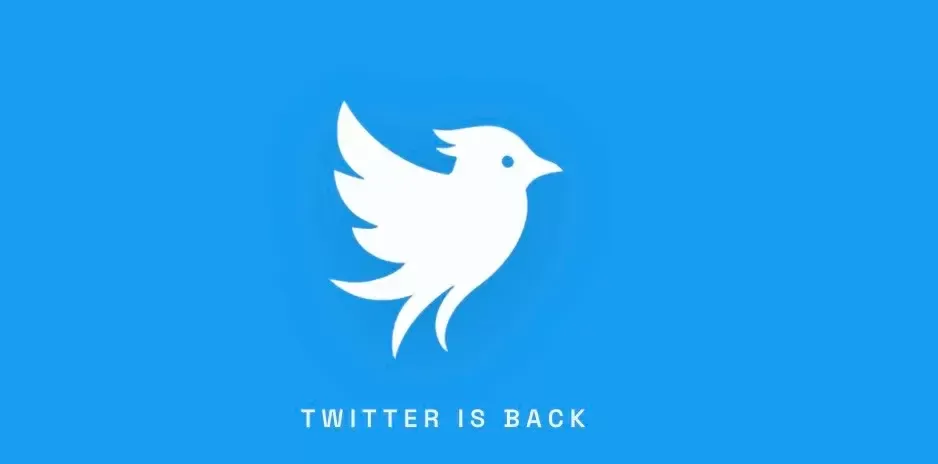 “Twitter” geri qayıdır: Twitter.now adlı yeni sosial şəbəkə yaradılıb