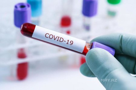 Gürcüstanda koronavirusa yoluxanların sayı 738-ə çatdı